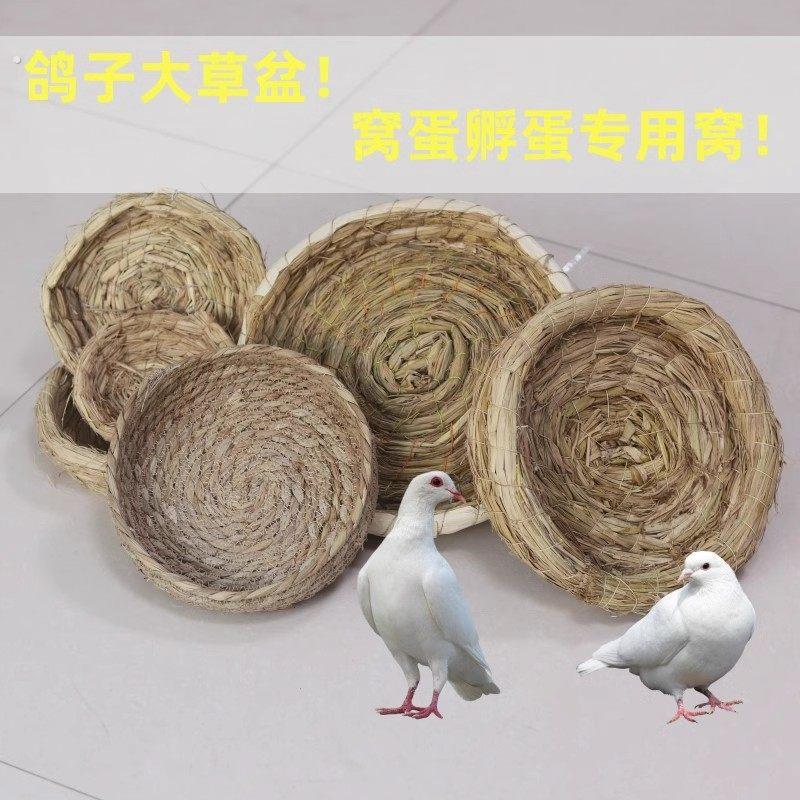 鸽子巢窝鸽子窝鸽巢草窝草编鸡窝下蛋窝孵蛋专用家用信鸽用品用具