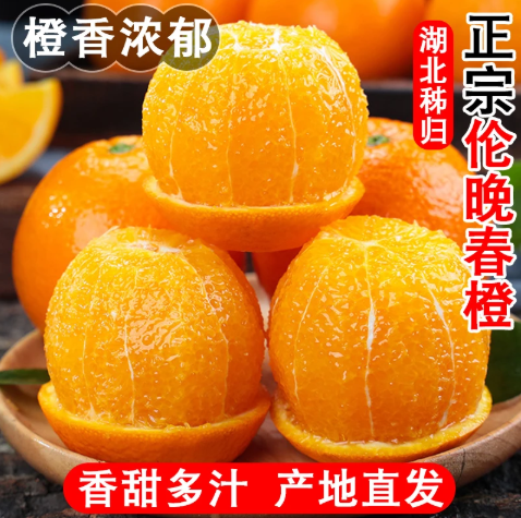 【下单立减50】正宗秭归伦晚春橙脐橙农家自种新鲜现摘水果皮薄