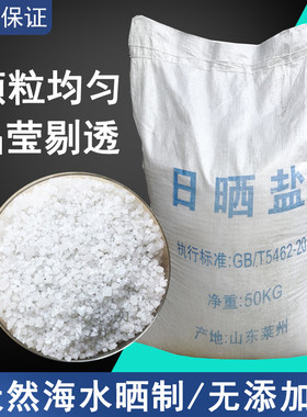 工业盐日晒用海盐粗盐杀盐除草水处理用盐养鱼盐树海水养殖用盐