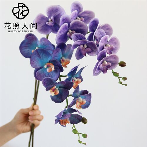 高品质手感保礼花蝶兰仿真花白色蝴艺花材婚湿假花装饰家居摆设摄