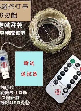 USB10米100灯紫色带遥控装饰礼盒圣诞8功能遥控铜线灯串