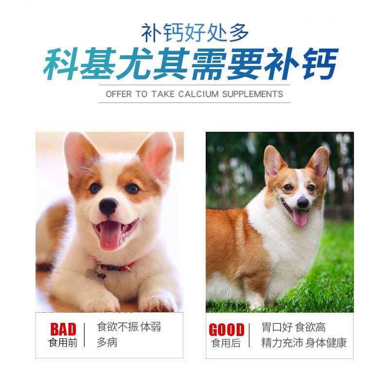 柯基专用钙片科基短腿狗狗成犬幼犬补钙粉微量元素毛