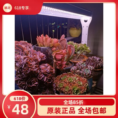 全光谱LED多肉花卉蔬菜植物形生长补光灯仿太阳光照灯4排灯珠