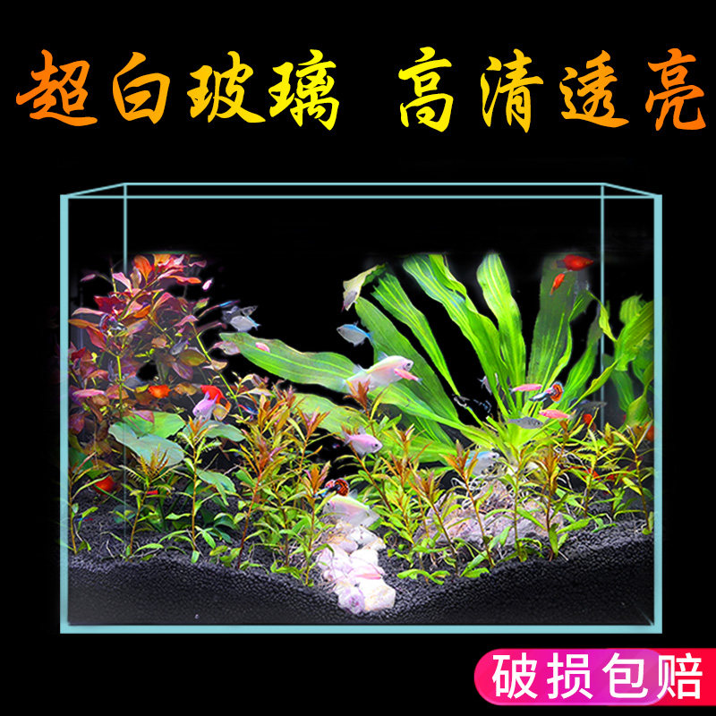 超白玻璃鱼缸长方形小型家用客厅桌面水族箱生态草缸热带鱼金鱼缸