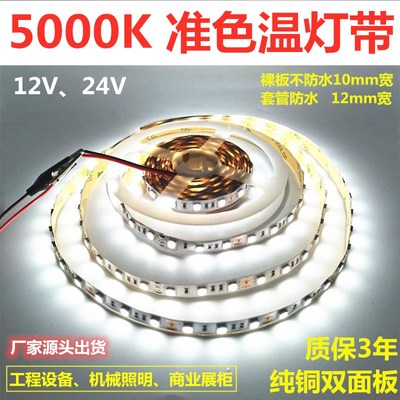 准色温5000K灯带1水V5050不防水5000K奶白色灯带 24V防25000K灯条