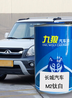 九狼汽车漆2成品漆漆原厂城4S店修理厂M长钛白橄榄绿M1星光银红色