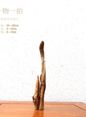 千年胡杨风化老木藏木随形根艺摆件禅然自意艺术创意家居收原饰品