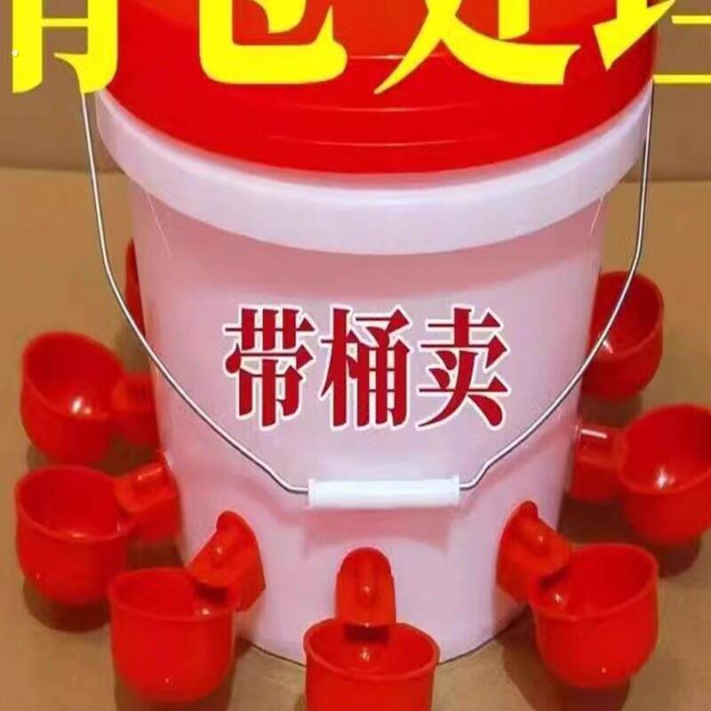 鸽鹌鹑饮水槽鸡用自动饮水器饮水杯鸽子家禽饮水碗雏鸡鸭鹅饮水器