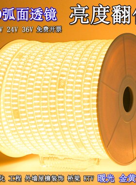 led灯带超亮220V防水工地下室照明隧道矿井养殖场专用长条暖白色