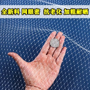 大棚草莓尼网网果树防鸟用网阳台尼龙线丝网樱桃树罩果园纱网龙子
