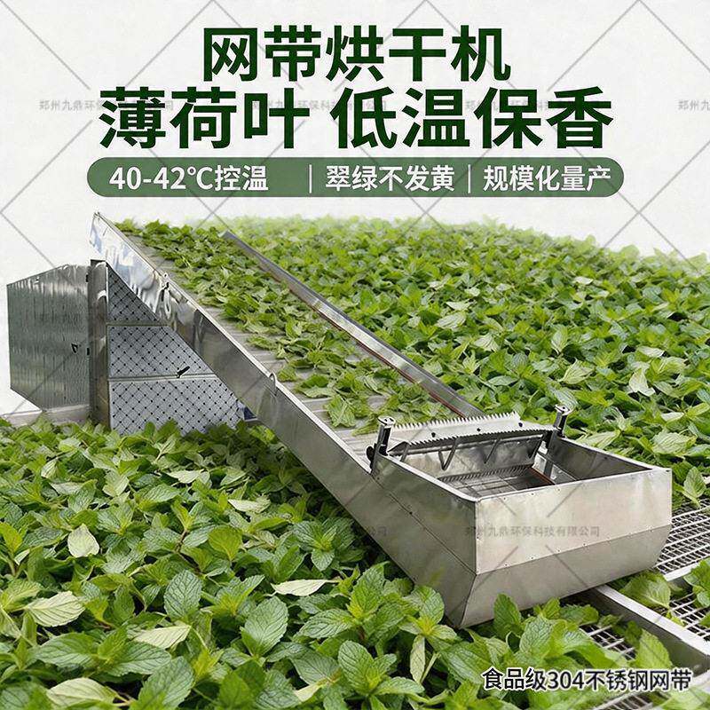 薄荷叶烘干干机烧煤柴网设带式烘干备艾叶材多层履带式烘机