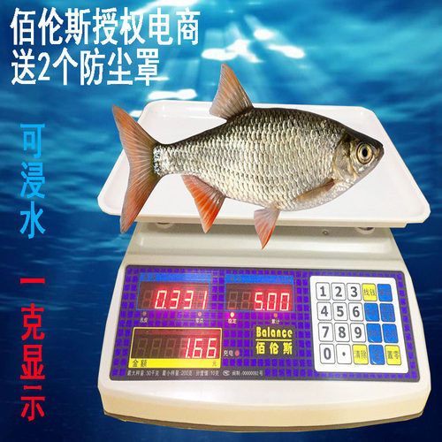 佰伦斯防水秤海鲜水产卖鱼卖菜商用台秤30KG防冻防摔防虫计价秤