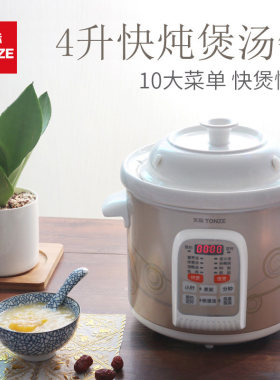 T/nz白o天际 DGD40-40CWD微电脑e瓷煮粥煲汤陶瓷电炖锅预约定时4L