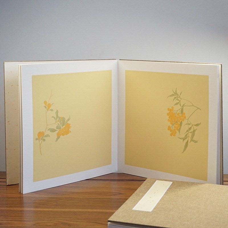 和庵花手国加厚32x32cm花式半法熟小楷书生工画国展花鸟卡纸册页