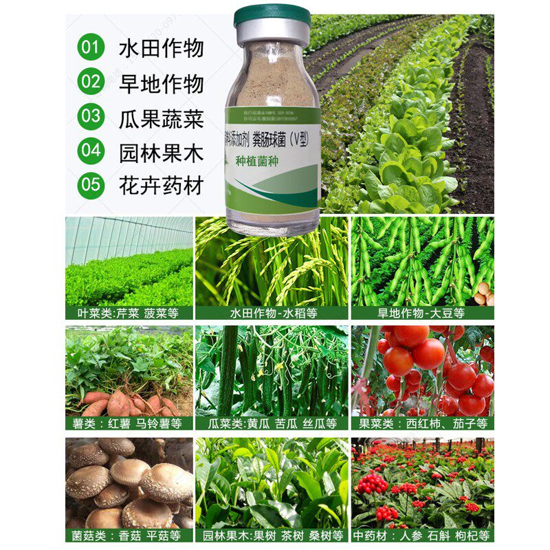 em菌种植蔬菜果树叶面橘柑肥草莓素萄药材水稻灌溉生长葡益生菌