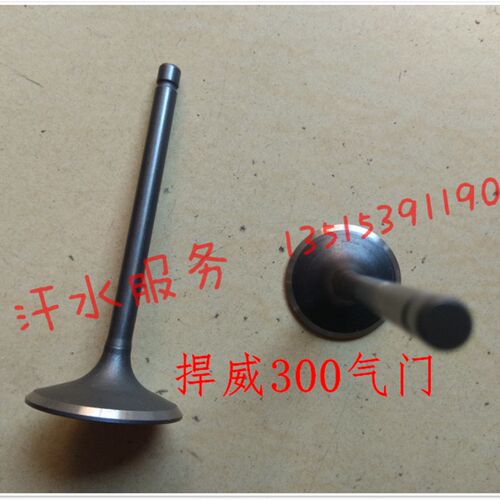 隆鑫雷电V捍雷沃V5江苏宗冷力威200ZH300水申发动机进排气门