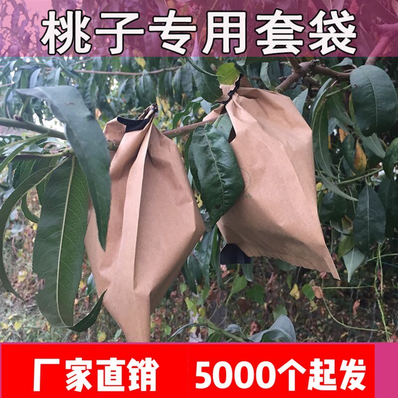 桃子专套套袋水蜜桃套袋黄桃袋桃子纸袋蟠桃袋子冬袋用桃桃子套袋