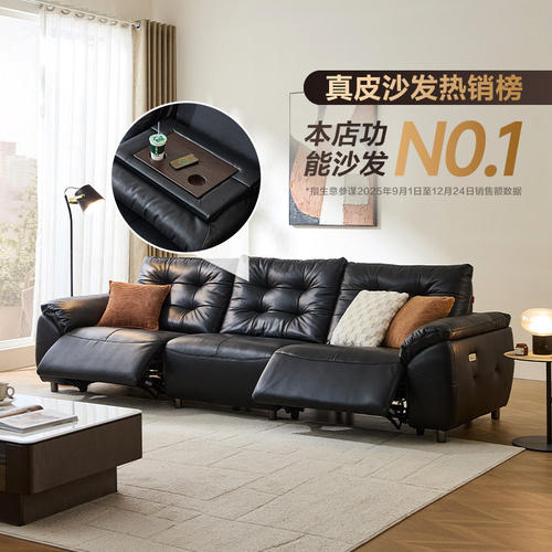 锐驰CAMERICH政府补贴天