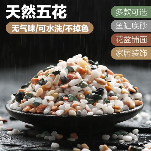 天然小石头五花彩石白色小石子鹅卵石水洗石鱼缸多肉花盆铺面装饰
