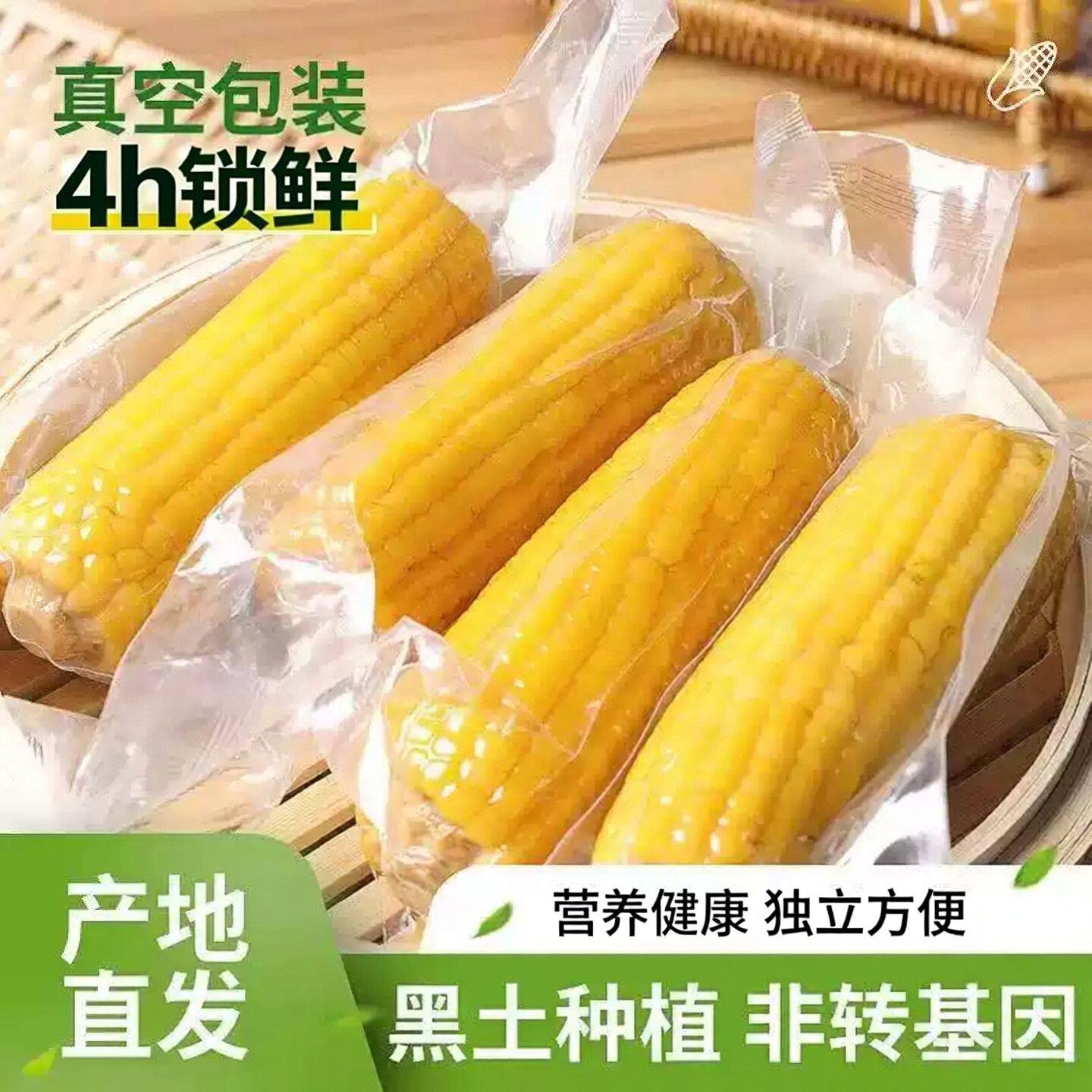 黑土地糯玉米粘糯甜新鲜批发低脂代餐黄玉米黄玉米真空锁鲜