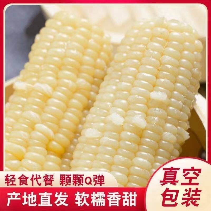 东北特产真空包装非转基因白糯玉棒早餐代餐粘玉米熟白玉米