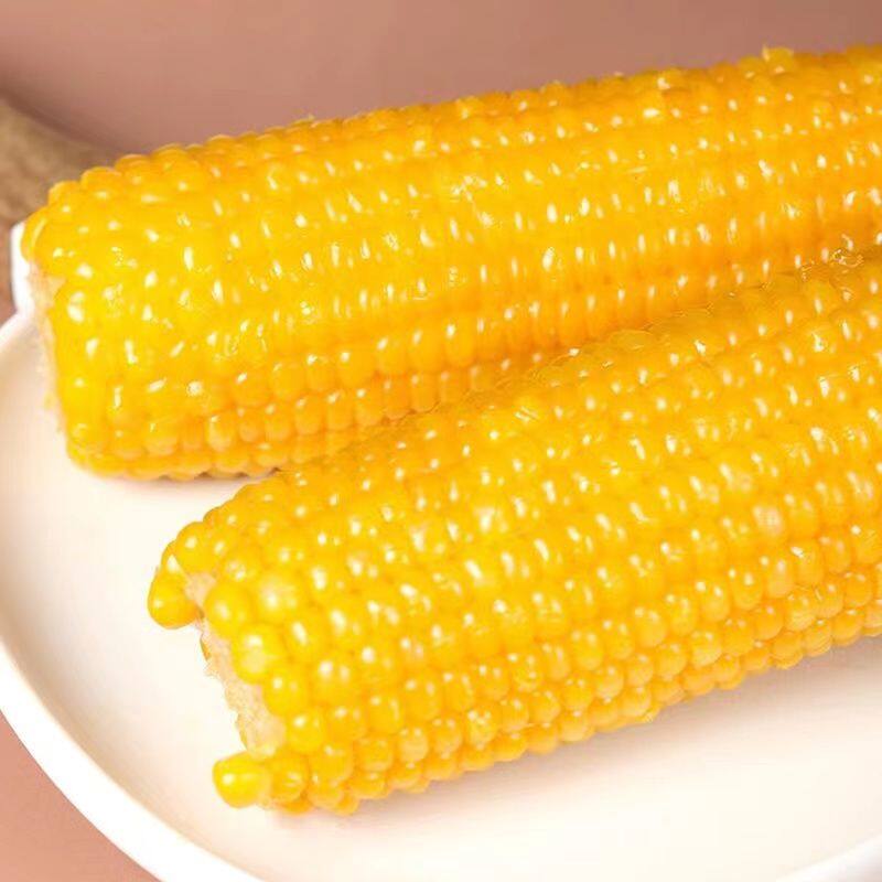 东北糯玉米真空锁鲜玉米
