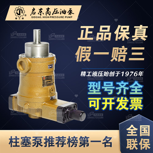 精工牌YCY14-1公原司启东高压油泵有限B装轴向柱塞泵剪板折弯机