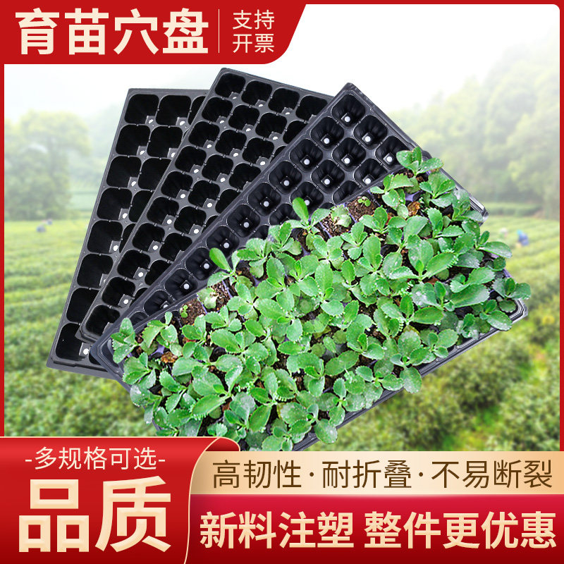 育苗穴盘带孔托盘草莓西瓜多功能蔬菜苗木多肉扦插营养加深育苗盆