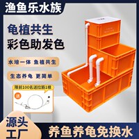 雄泽水族家用水培生态周转箱过滤专用龟鱼混养缸沼泽过滤器免换水