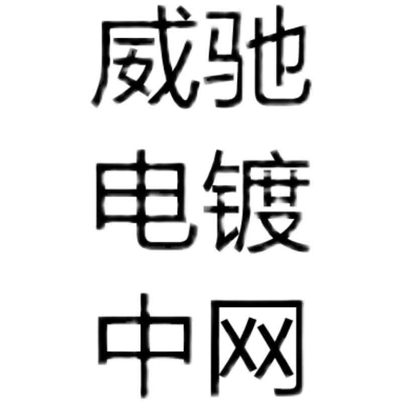 丰0304050607年款天老威驰中网格栅威驰前脸前保险杠中网格栅电镀