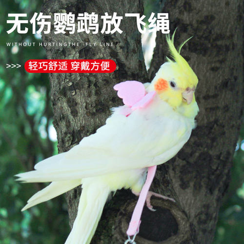 鹦鹉飞行带放飞绳超轻虎皮牡丹玄凤背带衣服鸟牵引绳子溜鸟绳用品