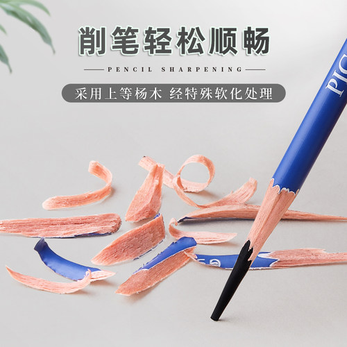 毕加索素描铅笔绘画炭笔美术生专用2h2b4b6b8b14b碳笔软中硬绘图