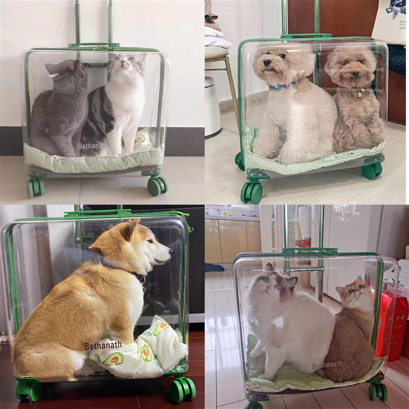 猫包外出便携大容量透明宠物拉杆箱手提两只夏天超大狗猫咪行李箱