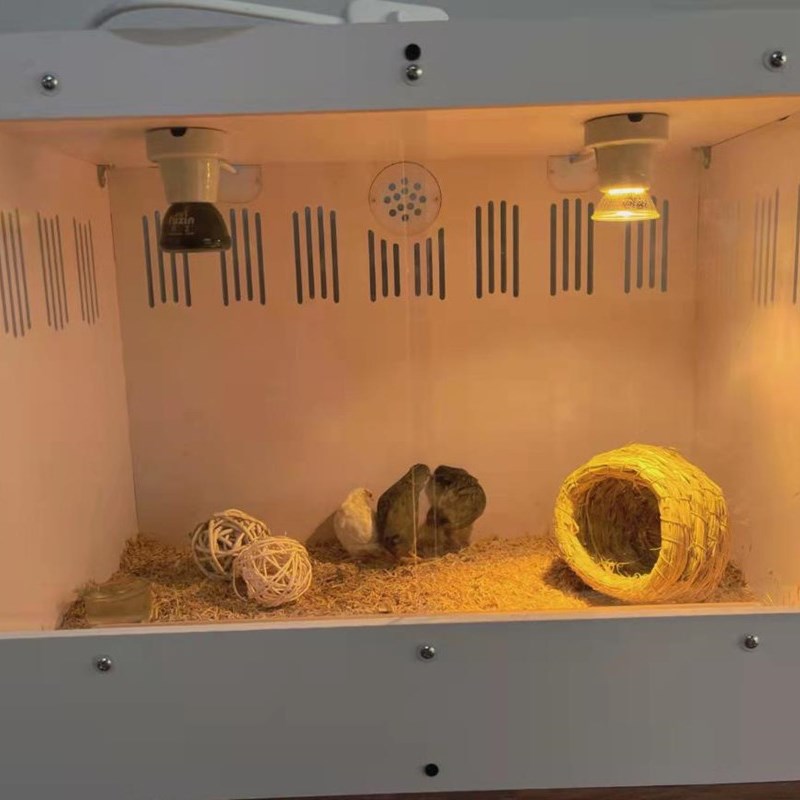 芦丁鸡饲养箱全套专用笼恒温套餐大号造景仓鼠刺猬保温箱宠物鸡窝