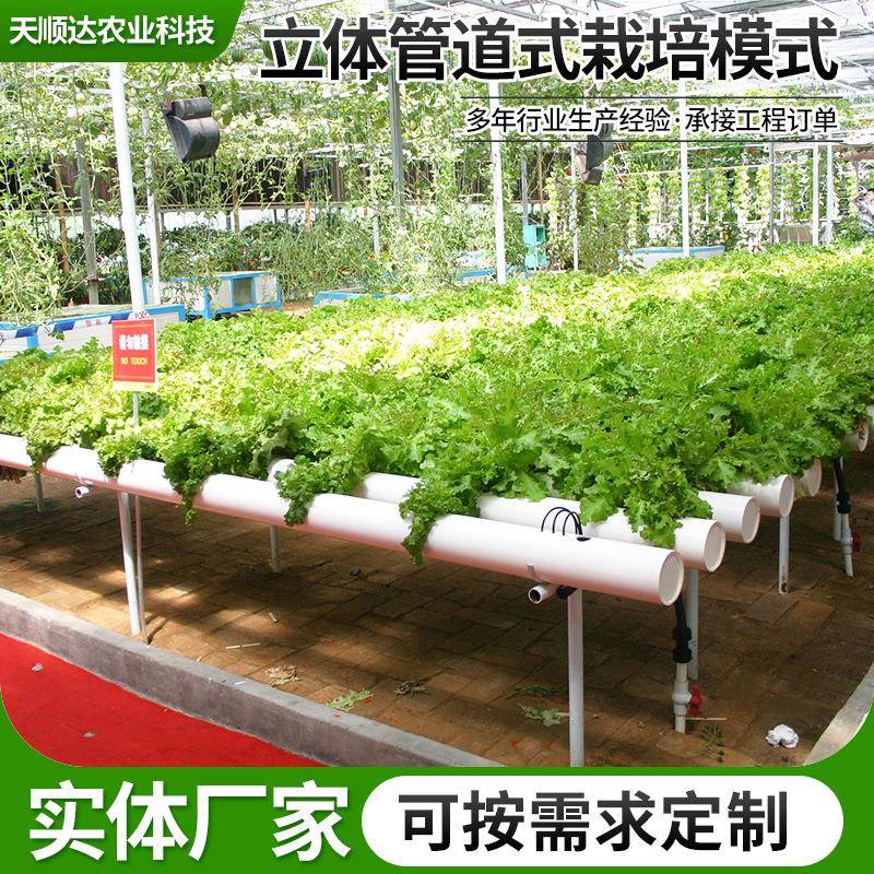 现代化体立管道培圆形隧道式无土水水培模式叶菜类水培种植模式