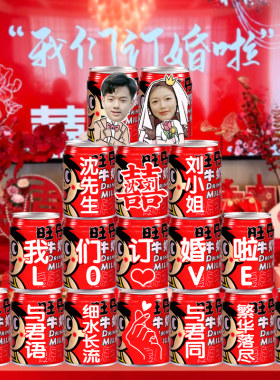 定制旺仔牛奶式婚场景布置装饰全套小摆件桌新家里客厅面中订摆台