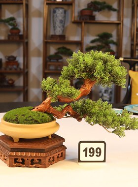 新几式仿真迎客松盆景沙发餐桌花架中关角玄茶台家居酒店中式摆件