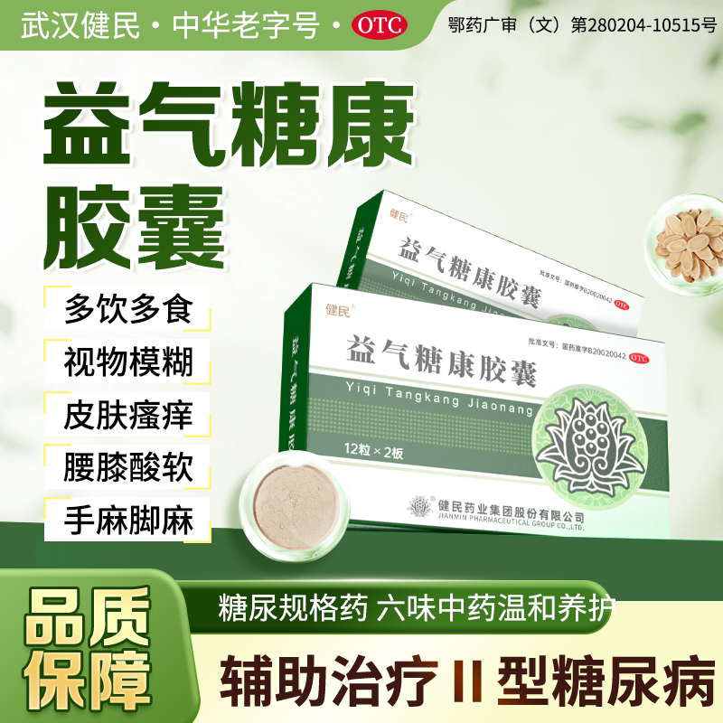 益气糖康胶囊健民药业糖尿病辅助补气补血