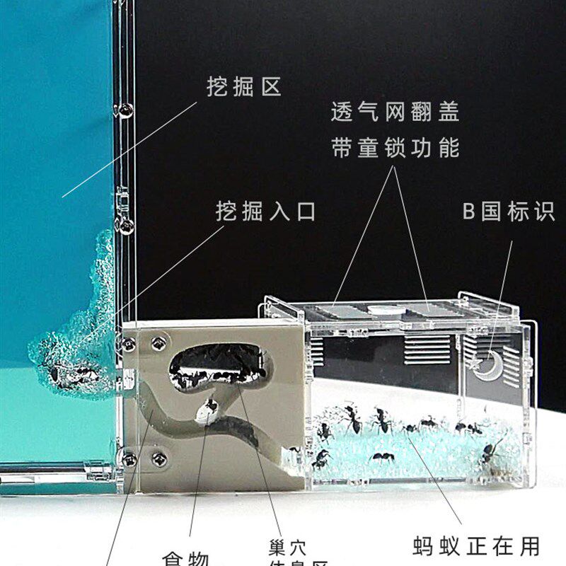PK版蚂蚁工坊 新对战版蚂蚁城堡宠物蚁巢庄园家园王国窝送2群蚁后