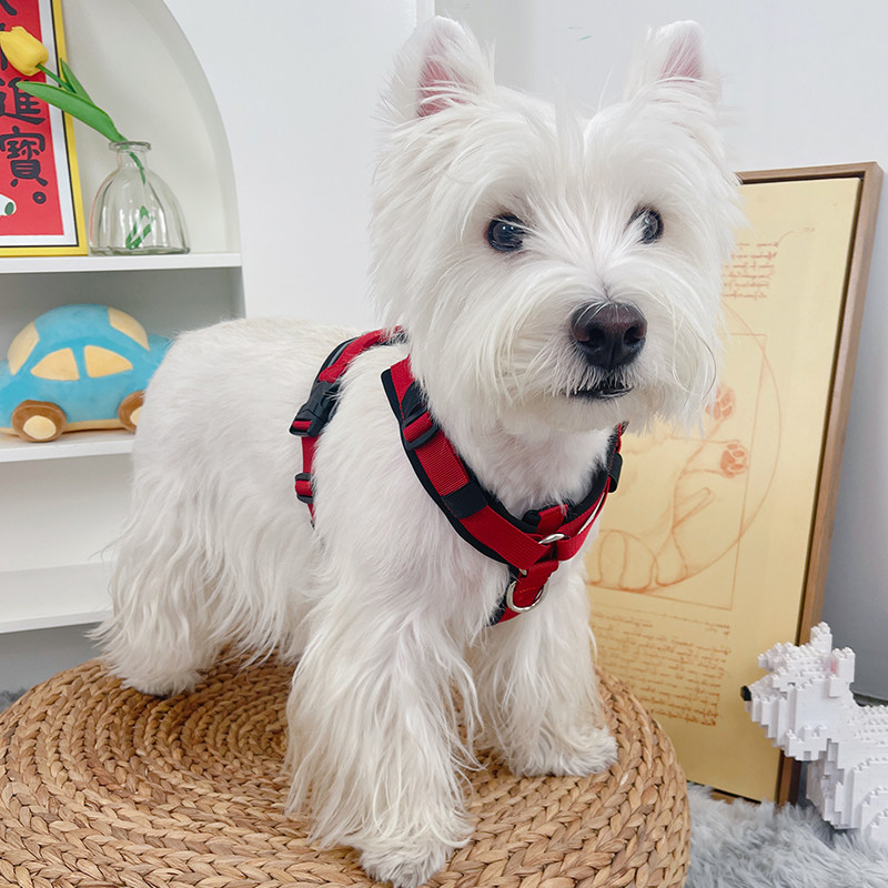 狗狗胸背带遛狗牵引绳大型犬宠物背心式柴犬背带式雪纳瑞马犬狗绳