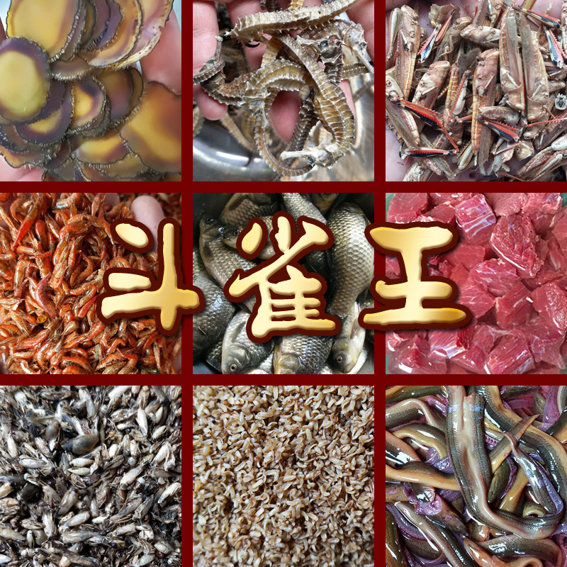 斗雀王 秘制手工画眉鸟食饲料 提性壮膘 打彩斗鸟料唱鸟包邮500g