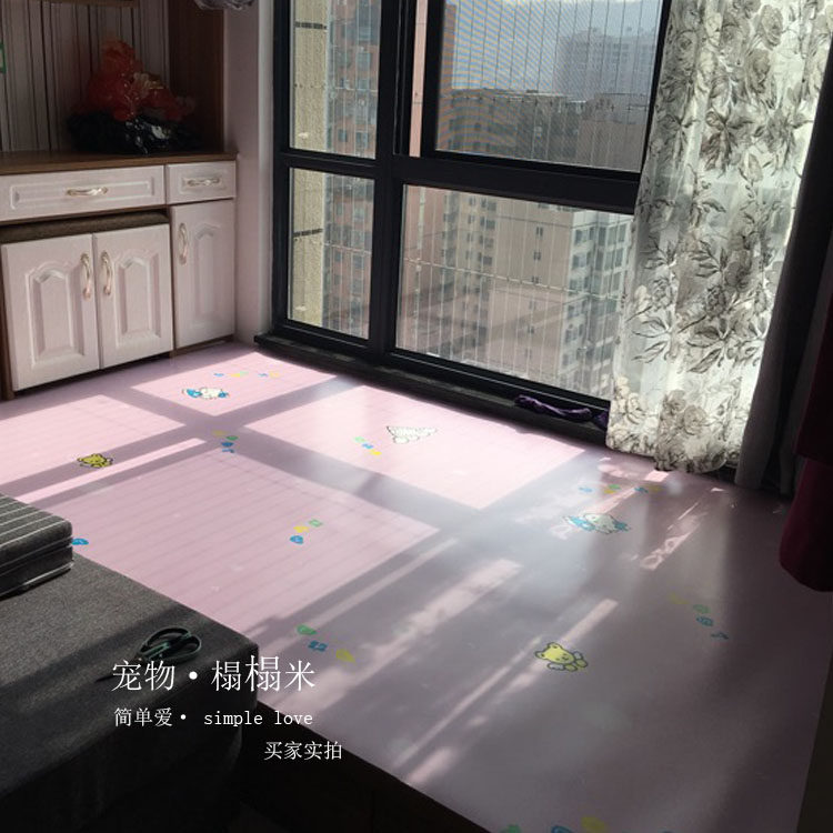 可吸尘家用定制门前地垫 小狗宠物垫子 客厅阳台防水防潮地板保护