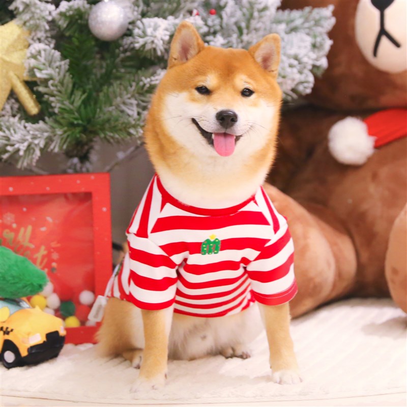 五彩缤纷圣诞 柴犬狗狗圣诞衣服可爱加绒秋冬保暖新年喜庆马甲