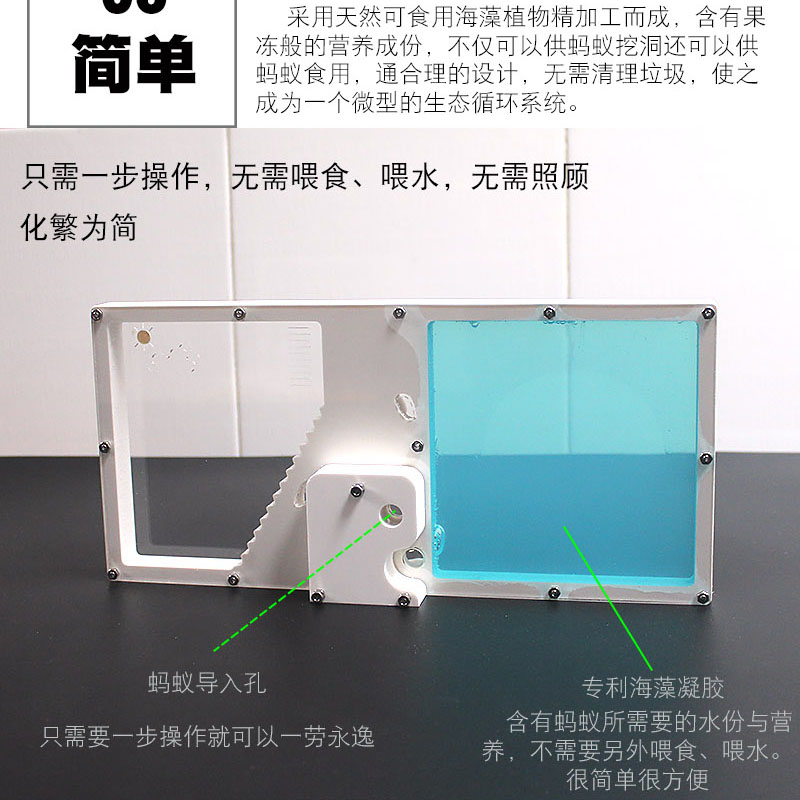 蚂蚁工坊学生款 幼儿园专用蚂蚁城堡 庄园家园王国学校老师都说好