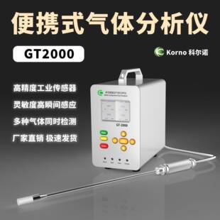 GT2000氮氧化物泵吸式手提氮氧化物分析仪烟气尾气熏蒸气分类仪