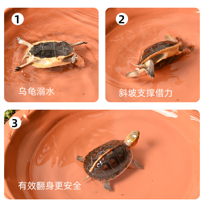 黄缘乌龟专用两件式饮水泡澡盆安缘台缘喝水盆半水龟生态造景用品