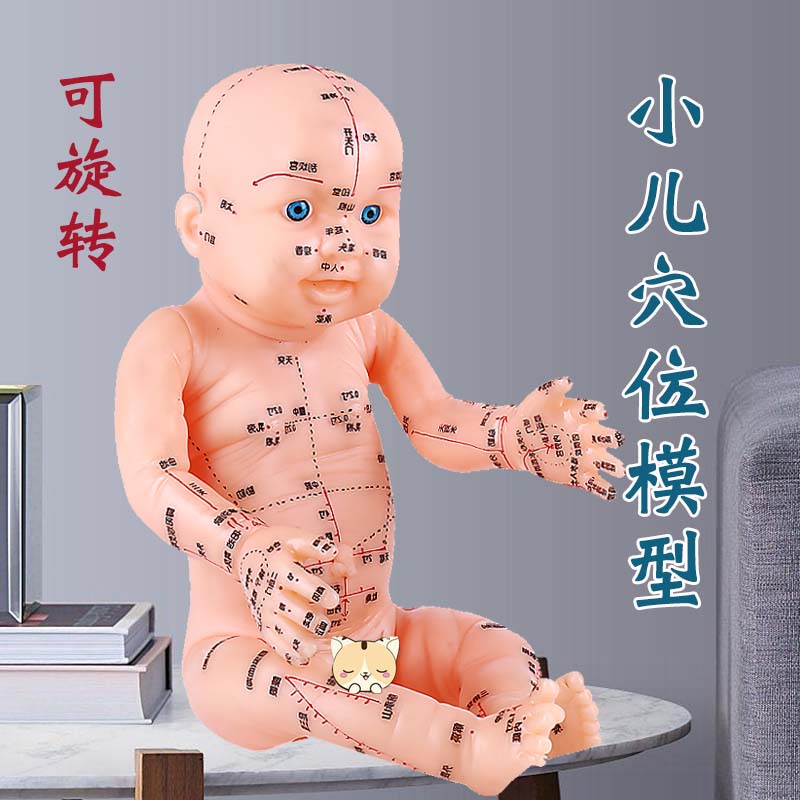 儿童人体模型小儿推拿按摩教学仿真月嫂培训娃娃中医针灸穴位清晰