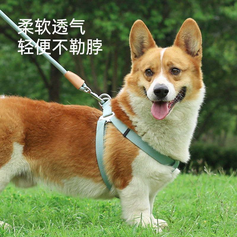 中恒狗狗牵引绳背心式狗绳子网红小型中型犬泰迪遛狗胸背带狗链子