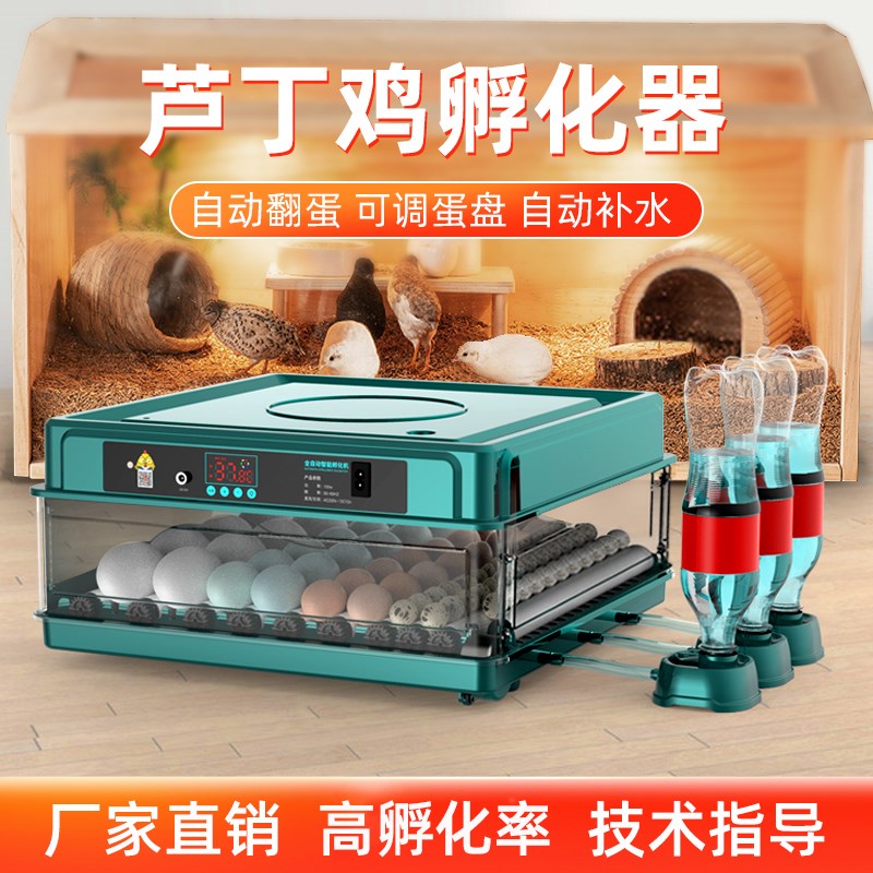 威振芦丁鸡孵化器小型家用迷你孵化机全自动智能孵蛋器小鸡孵化箱
