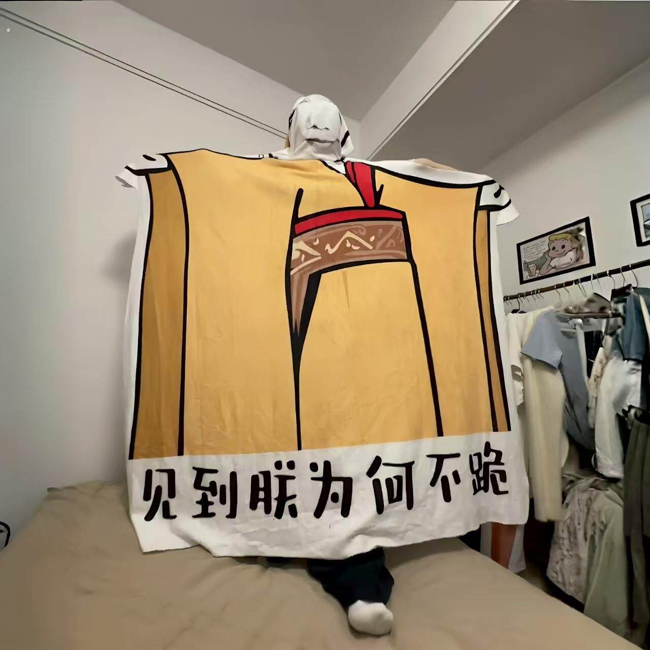 见到朕为何不跪毛毯创意整蛊工位午睡盖毯家用法兰绒沙发毯子搞笑